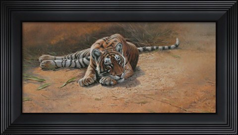Framed Tiger Cub Heat Of The Day Print
