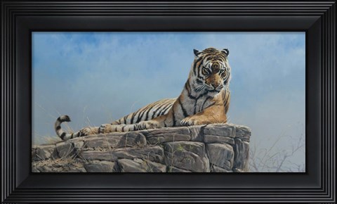 Framed Tiger on Rock Print
