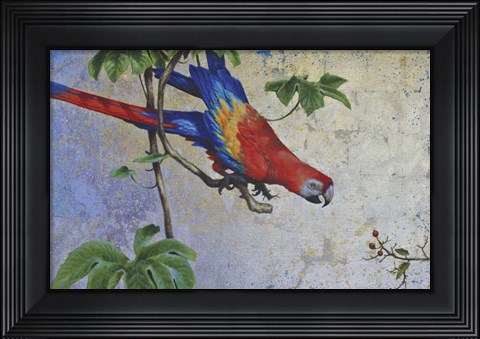 Framed Parrot Print