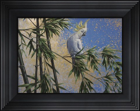 Framed Tropical Perch Print