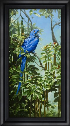 Framed Blue for You Print