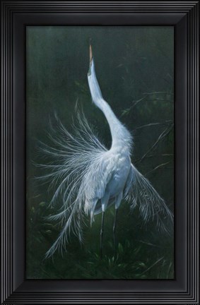 Framed Displaying Egret Print