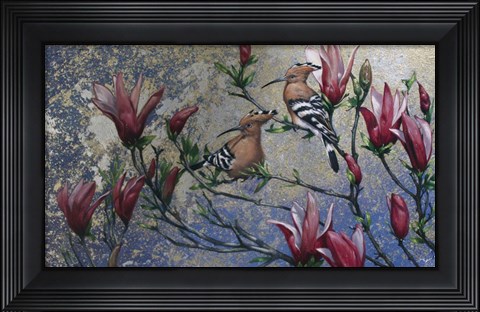 Framed Hoopoe Print