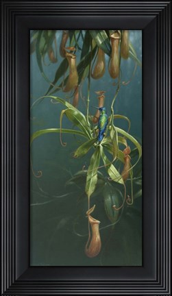 Framed Humming Birds Print