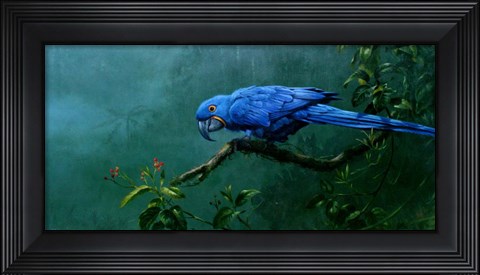 Framed Hyacinth Print