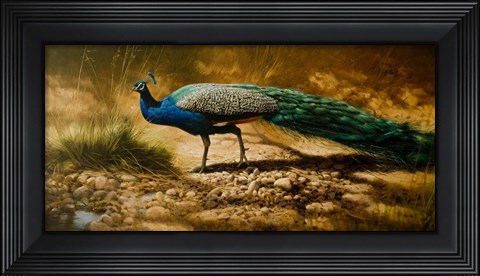 Framed Into the Light Print