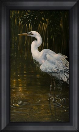 Framed Last Light Print
