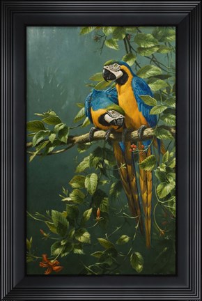 Framed Love is... Print