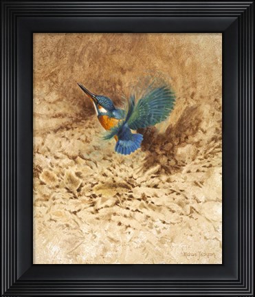 Framed Kingfisher Study Print