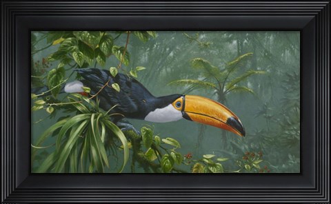 Framed Toco Toucan Print