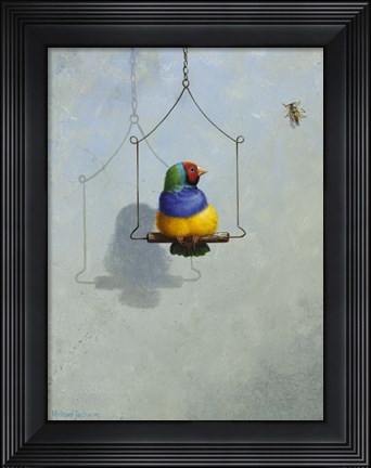 Framed Gouldian Finch Print
