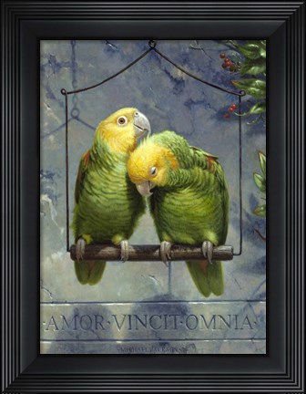 Framed Pair of Lovebirds Print