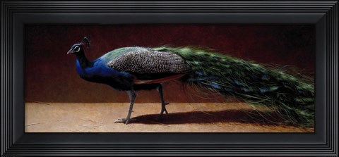 Framed Peacock Print