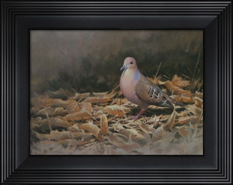 Framed Mourning Dove Print