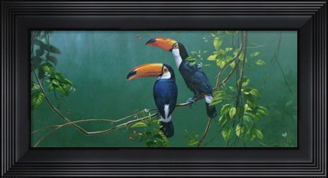 Framed Toucans Print