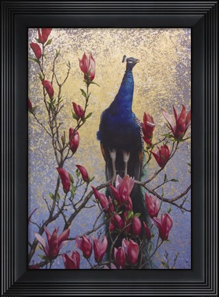 Framed Peacock Print