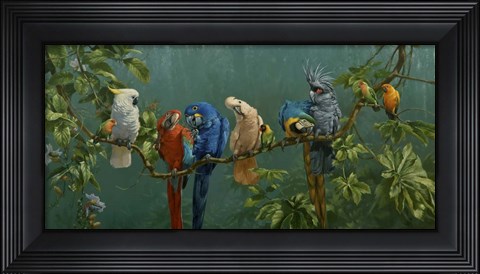 Framed Perroquets Print