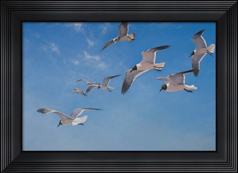 Framed Poetry In Motion Print