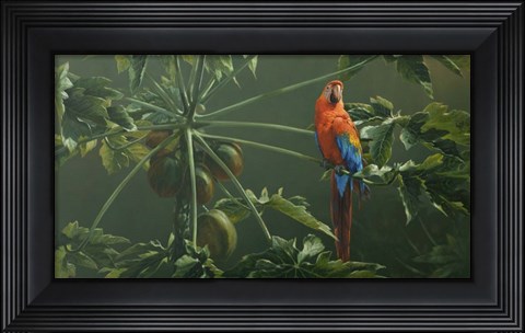 Framed Scarlet Print