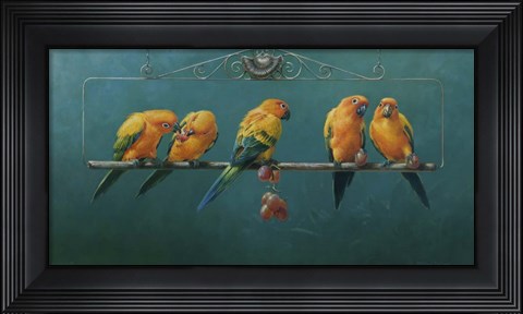 Framed Sunconures Print