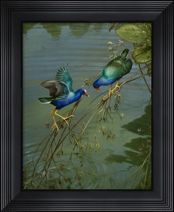 Framed Mating Game Print