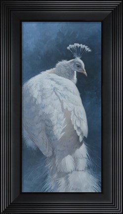 Framed White Peahen Print