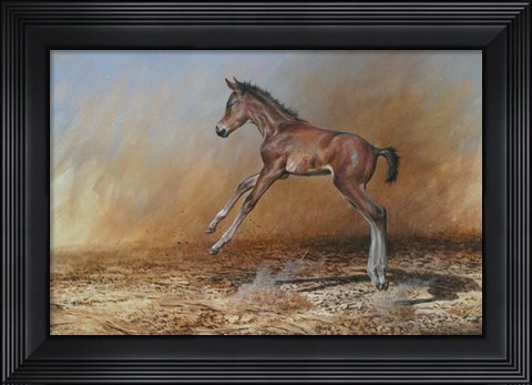 Framed Foal Jumping For Joy Print