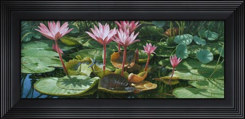 Framed Lily Pond Print