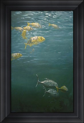 Framed Fish Print