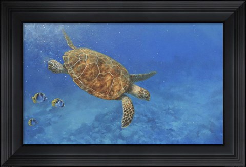 Framed Sea Turtle Print