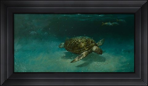 Framed Searching the Shallows Print
