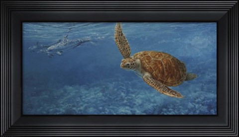 Framed Turtle 1 Print