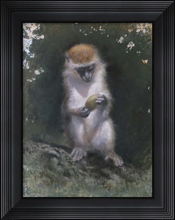 Framed Curious Monkey Print