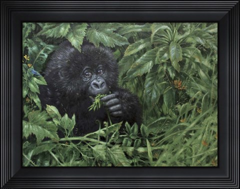 Framed Gorilla 1 Print