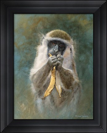 Framed Green Monkey Study Print