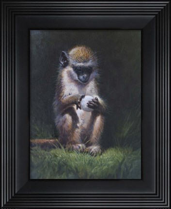 Framed Inquisitive Print