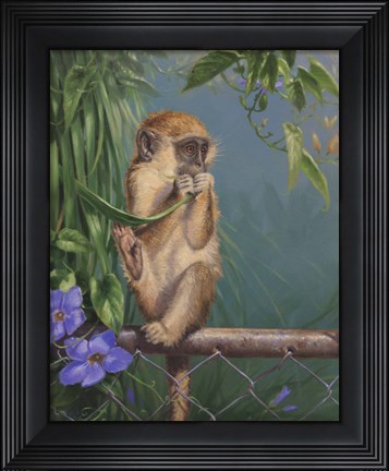 Framed On the Fence Print