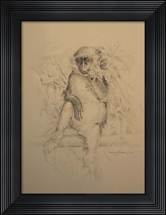 Framed Monkey Sketch Print