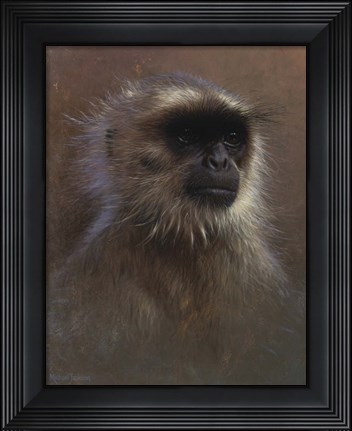 Framed Monkey Portrait Print