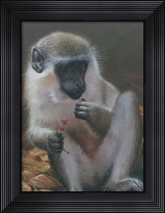 Framed Monkey 2 Print
