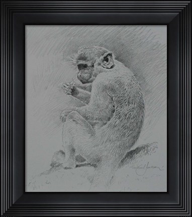 Framed Monkey Sketch 2 Print