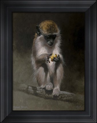 Framed Monkey Print