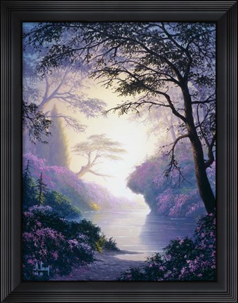 Framed Burst of Color Print