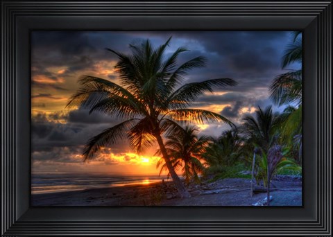 Framed Tropical Sunset Print