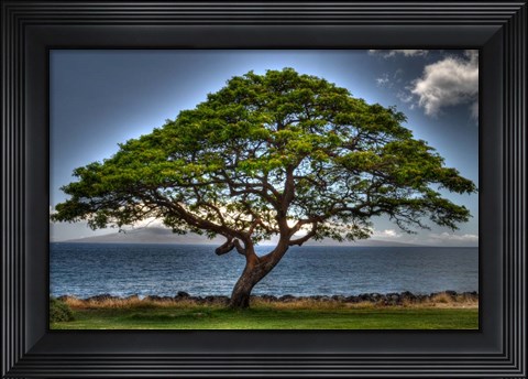 Framed Majestic Print