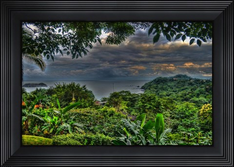 Framed Lush View Print