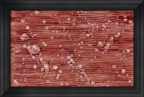 Framed Bubbles Print