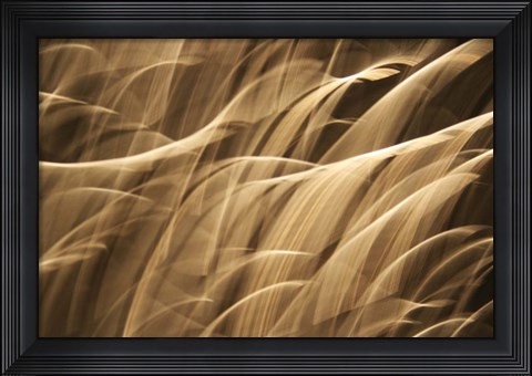 Framed Poesia En Monocromo 7 Print