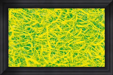 Framed Splatter Print