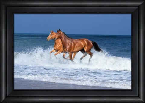 Framed 2 Horses Sea Print